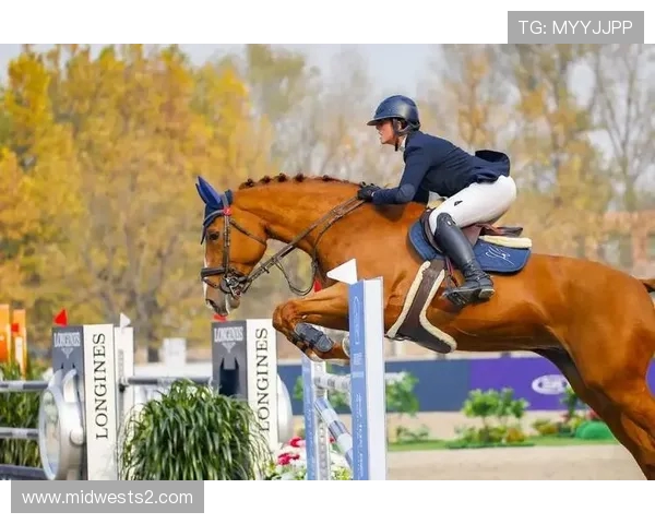 以马术骑士精神引领现代体育竞技文化传承与荣耀之路发展新篇章