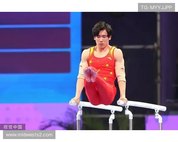 张博恒谈对体操精神的领会